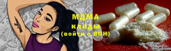 шишки Белокуриха