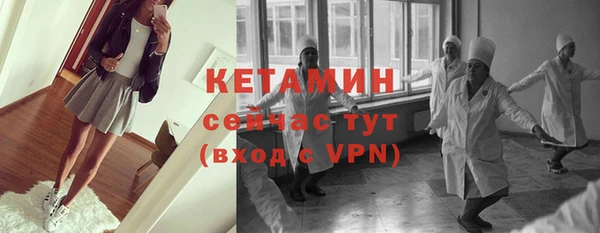 шишки Белокуриха