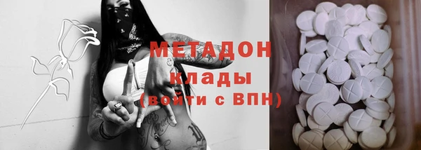 шишки Белокуриха