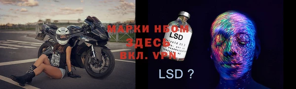 шишки Белокуриха