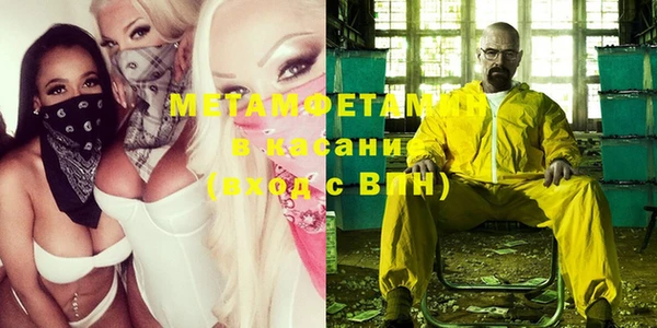 шишки Белокуриха