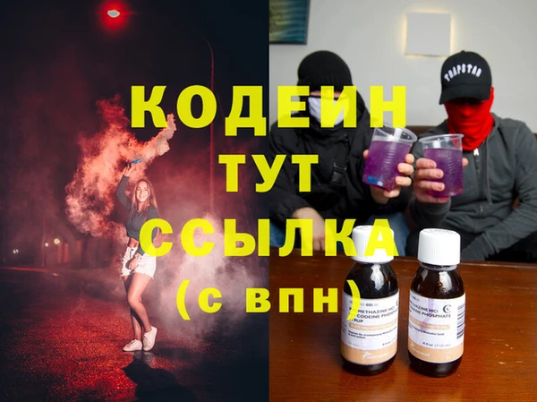 шишки Белокуриха