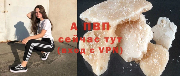 шишки Белокуриха