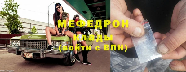 шишки Белокуриха