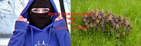 MDMA Premium VHQ Белоозёрский
